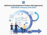 software project manager